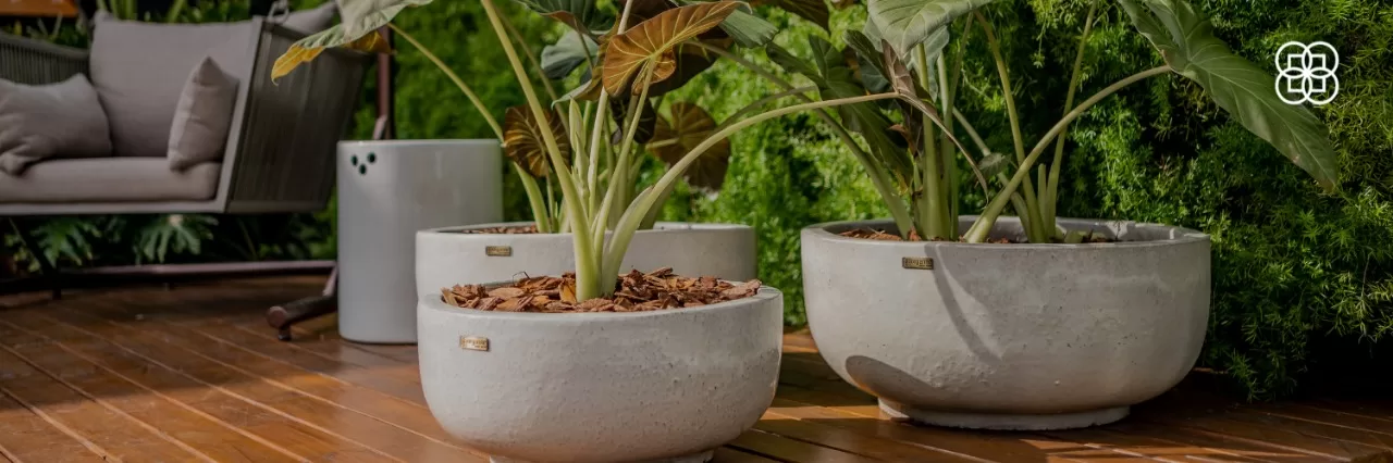 Transforme Seu Jardim com Vasos Vietnamitas Organne