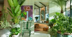 Ambiente CASACOR por Paola Ribeiro com vasos Organne