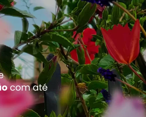 Promoção Spring Sale Organne