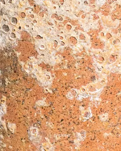 Textura vaso rústico Organne