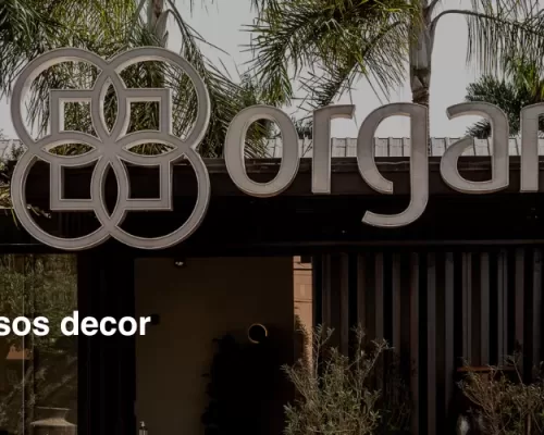 Visite uma das unidades Organne vasos decor