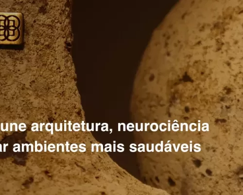 Neuroarquitetura Organne